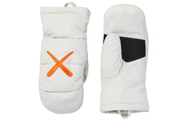 THE NORTH FACE KAWS
