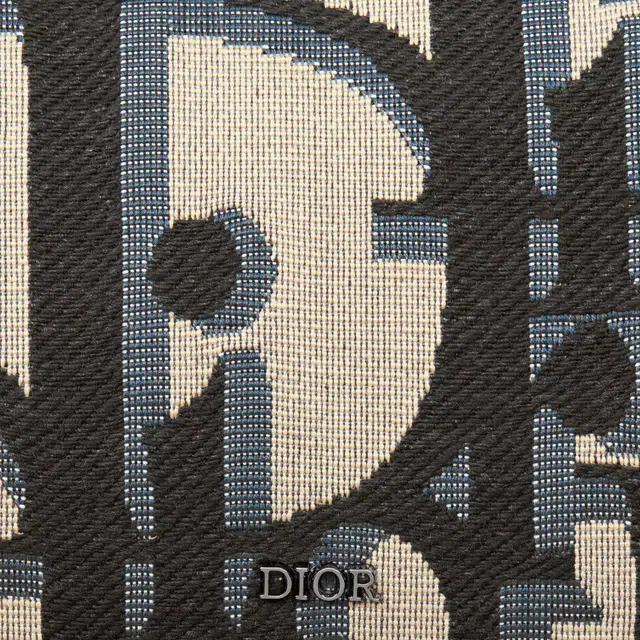 DIOR Oblique