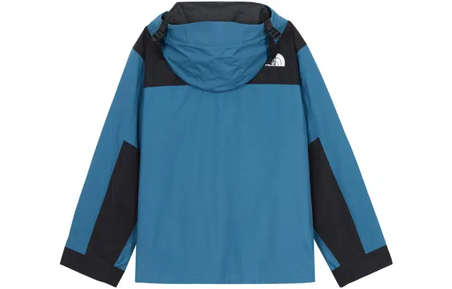 THE NORTH FACE GTX MOUNTAIN JACKET 10Logo