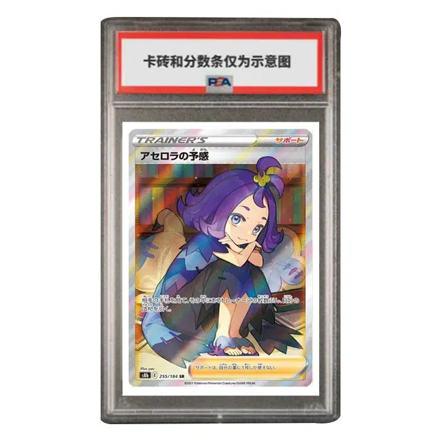 POKEMON VMAX SR S8b-255 PSA