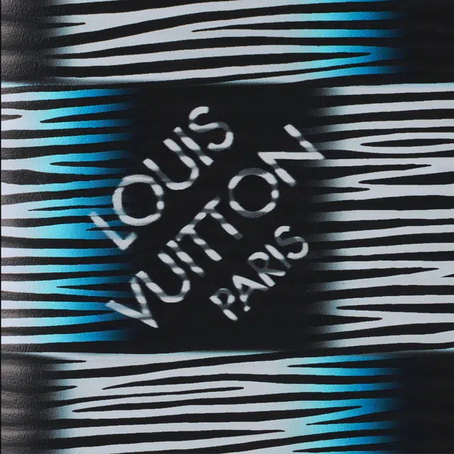 LOUIS VUITTON POCKET ORGANIZER