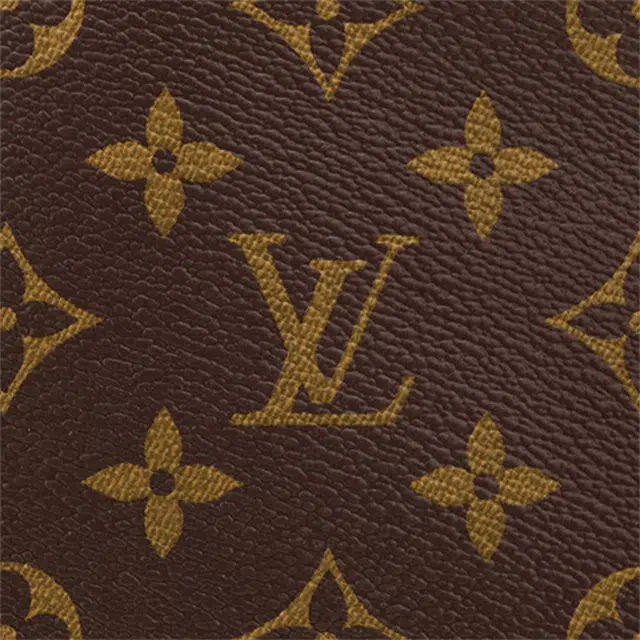 LOUIS VUITTON Carryall PM