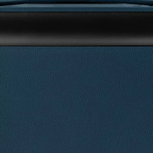 LOUIS VUITTON Horizon 55 20