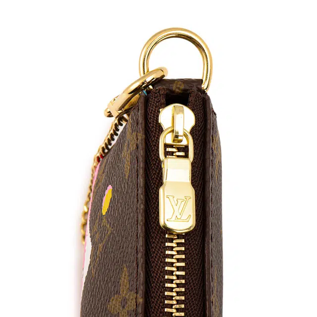 LOUIS VUITTON Pochette Accessories