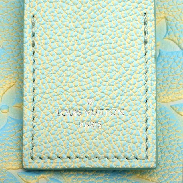 LOUIS VUITTON ONTHEGO