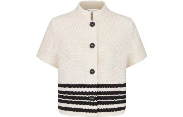 DIOR SS24 Logo