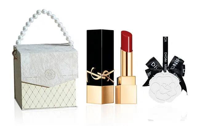 YSL 1971196601