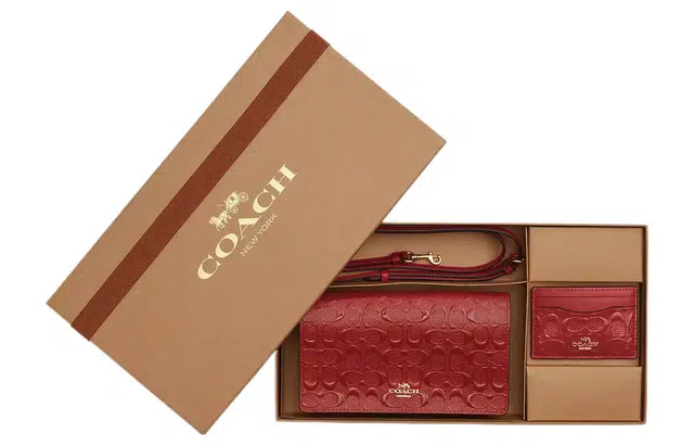 COACH Anna 20 LogoLogo