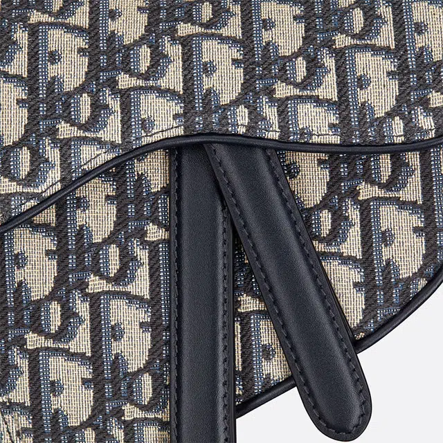 DIOR Saddle