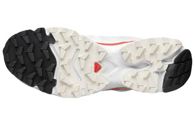 SALOMON XT-4 "Topography Pack"