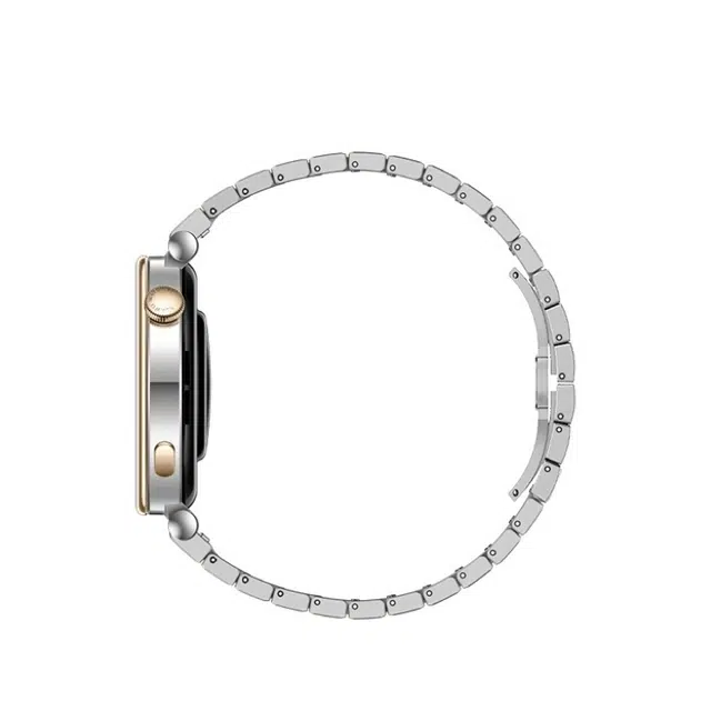 CHENSONG 20MM gt4 watch GT4