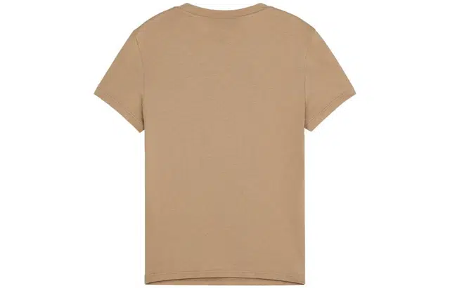 THEORY T
