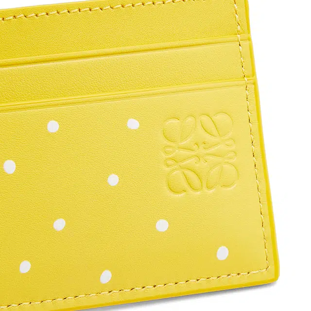 LOEWE x Suna Fujita 24
