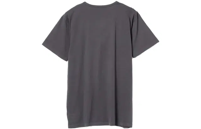 beams T