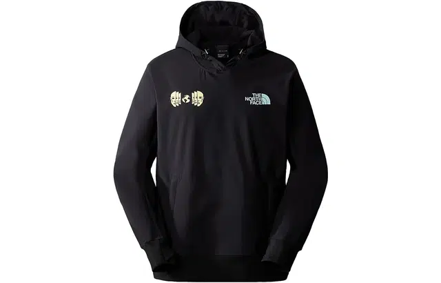 THE NORTH FACE TEKNO LOGO HOODIE Logo