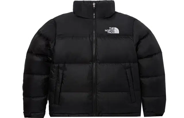 THE NORTH FACE 1996 FW23 EcoNuptse Jacket