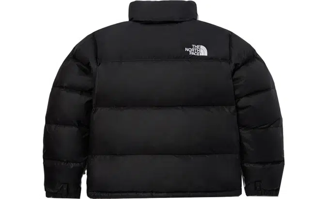 THE NORTH FACE 1996 FW23 EcoNuptse Jacket