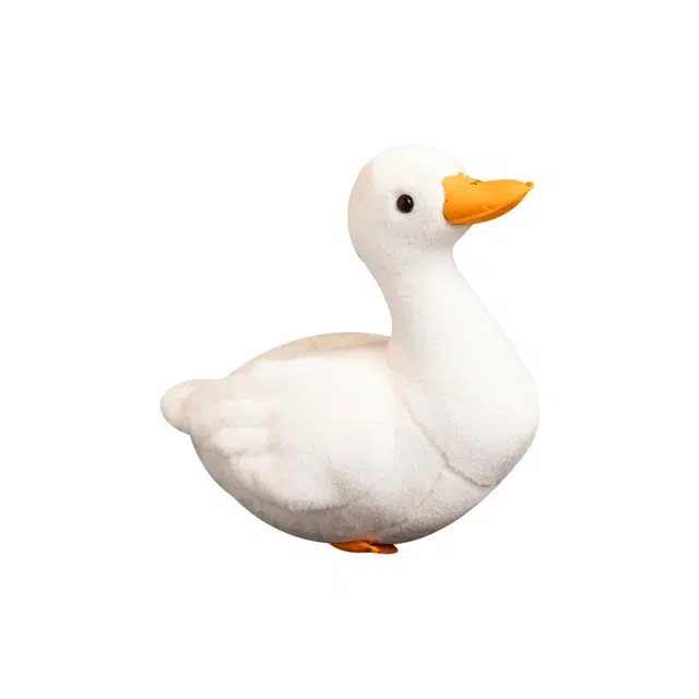25cm42cm