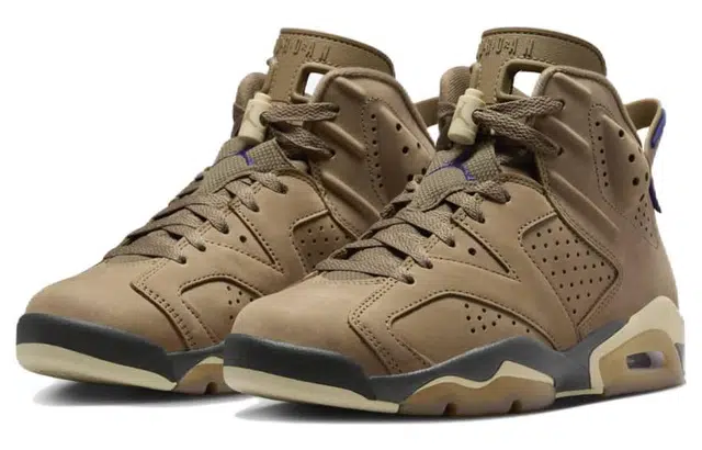 Jordan Air Jordan 6 Gore-Tex "Brown Kelp"