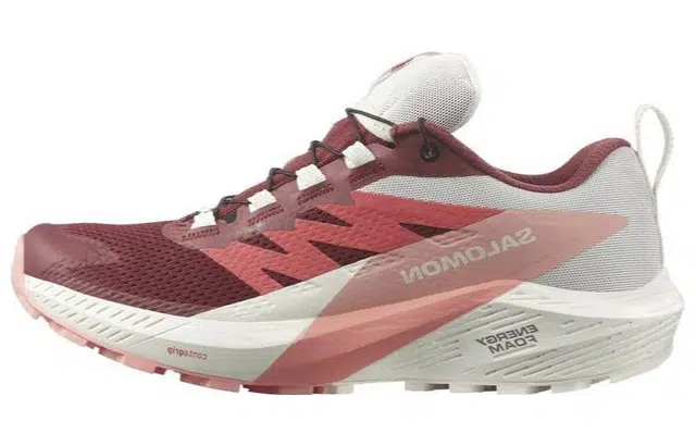 Salomon Sense Ride 5 GTX