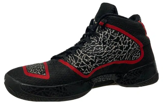 Jordan Air Jordan 29