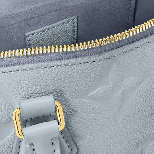 LOUIS VUITTON Speedy 20