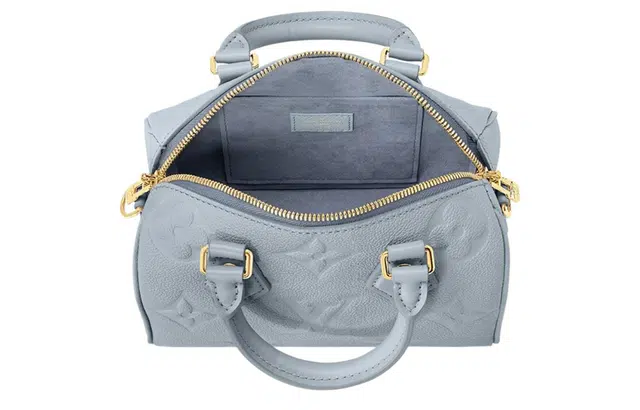 LOUIS VUITTON Speedy 20