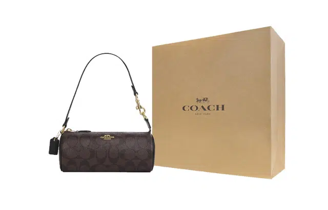 COACH Nolita 20