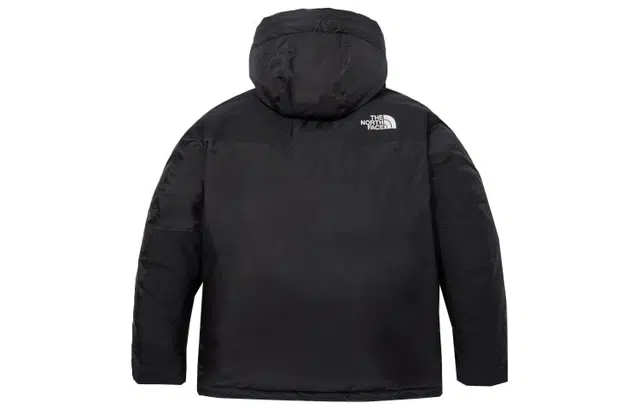 The North Face GTX