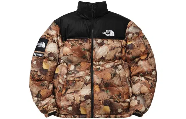 Supreme x THE NORTH FACE Logo