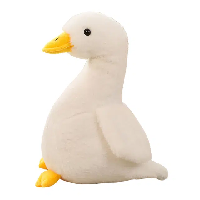 30cm40cm