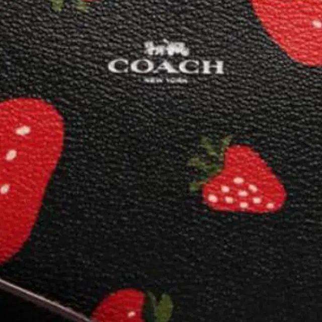 COACH Corner Zip 16