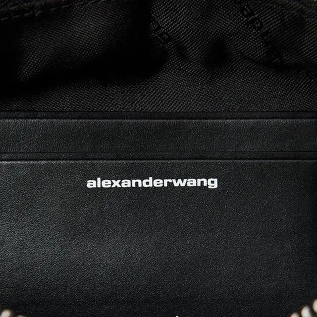 alexander wang heiress