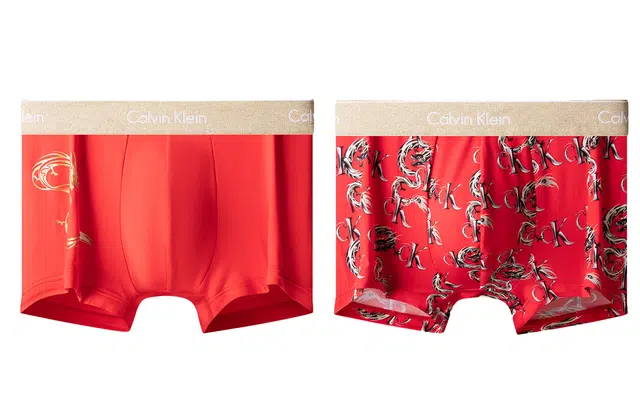 CKCalvin Klein Logo 2