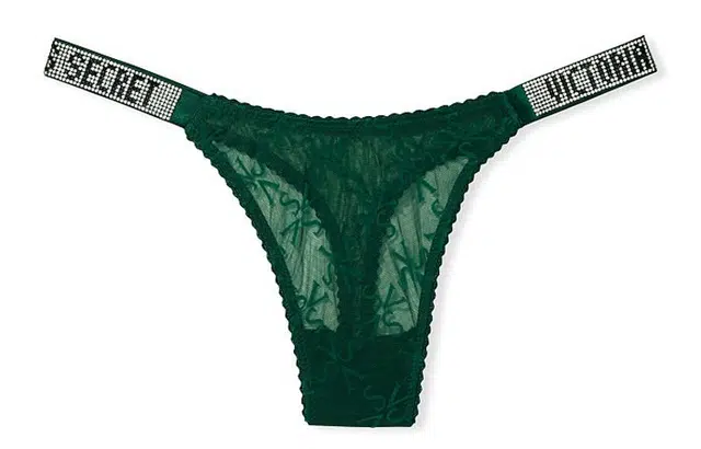 VICTORIA'S SECRET Logo 1