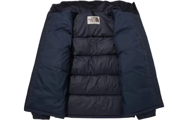 THE NORTH FACE Eglon Ex Down Jacket