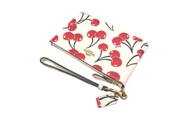 COACH Wristlet 19