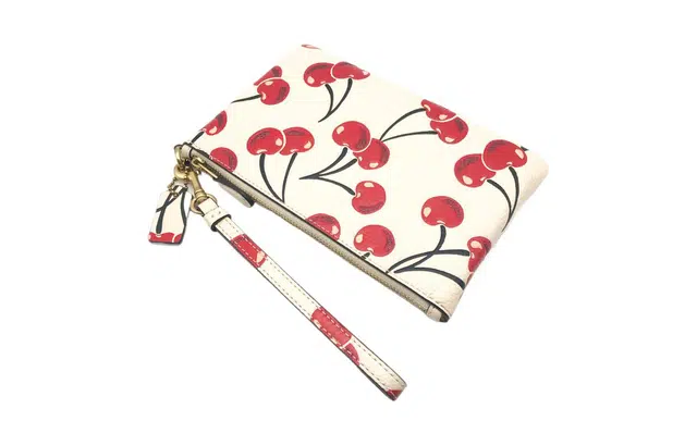 COACH Wristlet 19