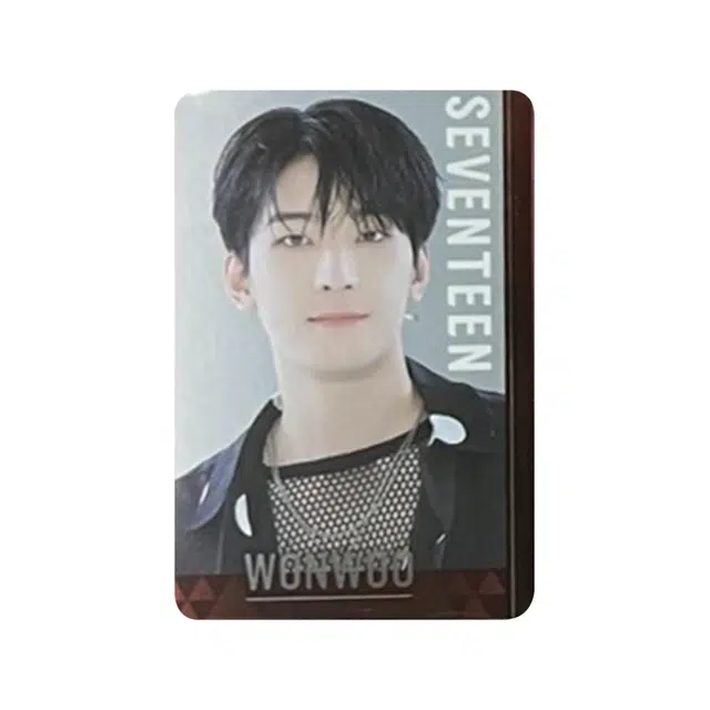 HYBE SEVENTEEN 1.0