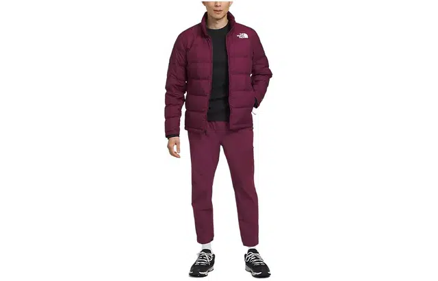 THE NORTH FACE Mountain Light Triclimate Logo