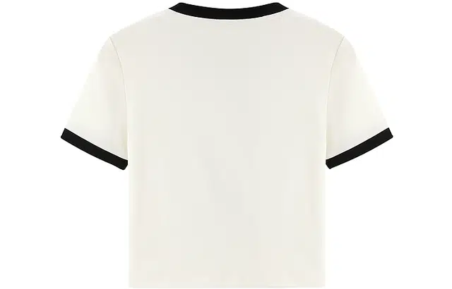 LEDIN T