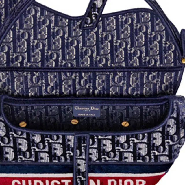 DIOR Saddle Oblique