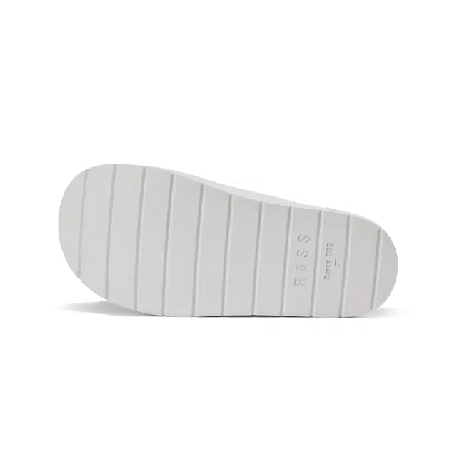 RASS DARTS-02