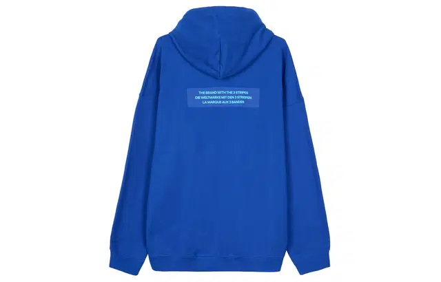 adidas originals Big Trfl Hoodie