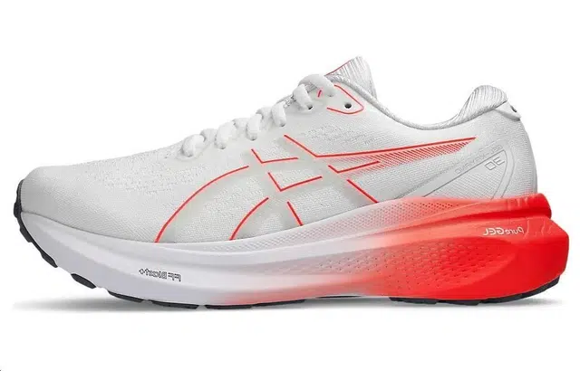 Asics Gel-Kayano 30