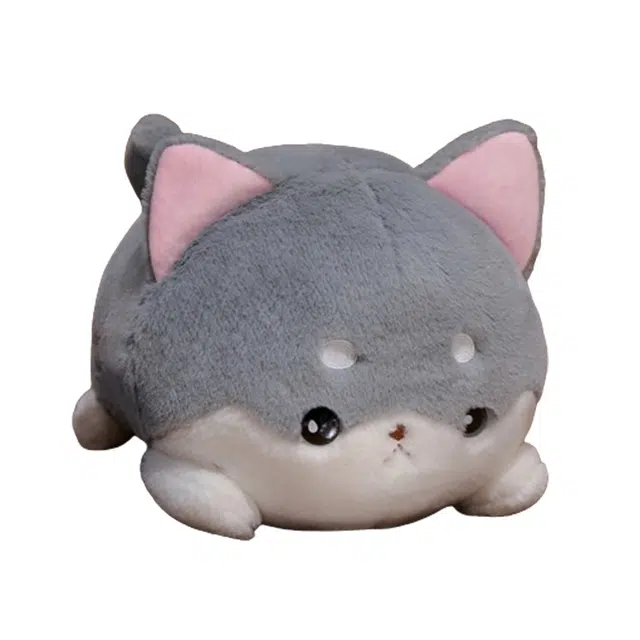 30cm40cm
