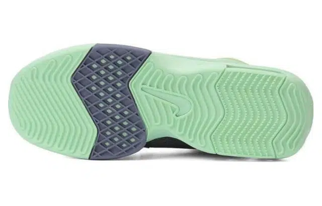 Nike LEBRON WITNESS VIII