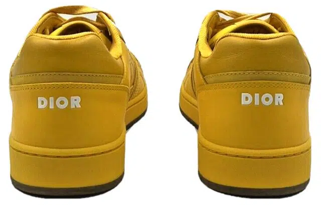 DIOR B27