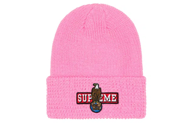 Supreme FW23 WEEK 18 EAGLE BEANIE -