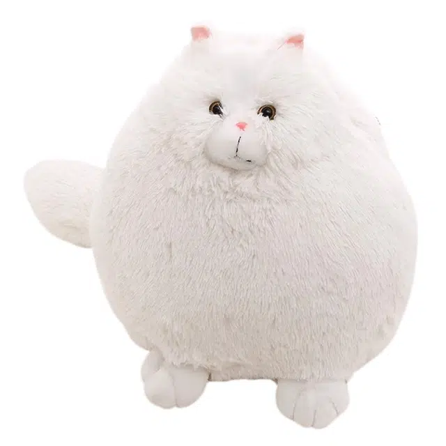 30cm50cm